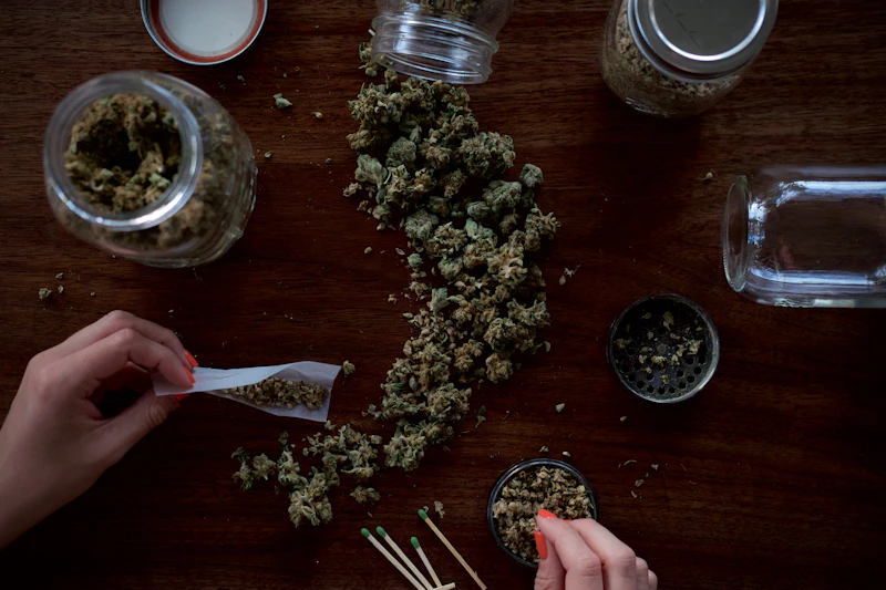 Understanding where a strain comes from tells you a lot about what to expect, and Death Bubba's family tree reads like an indica hall of fame.  Parent Strains Death Bubba is a cross between two legendary strains:  Death Star &mdash; A heavy indica hybrid created by crossing Sensi Star and Sour Diesel. Death Star brings pungent diesel aromatics and a deeply relaxing body high to the table. It's known for creeping effects that gradually intensify over 15&ndash;20 minutes, eventually settling into a full-body calm. Bubba Kush &mdash; One of the most iconic indica strains in cannabis history. Originating from the Hindu Kush mountain region, Bubba Kush contributes dense bud structure, earthy-sweet flavours, and that signature couch-lock effect that makes it a bedtime favourite worldwide. The combination of these two genetics creates a strain that inherits the best sedative qualities of both parents while adding its own unique character. Death Bubba is classified as approximately 70% indica and 30% sativa, though its effects lean far more heavily toward the indica side.  The Breeder: A BC Original Death Bubba was developed by Matteo Suleyman of Sea to Sky in British Columbia, making it a proudly Canadian strain. BC has long been considered Canada's cannabis capital, producing some of the world's finest craft flower. Death Bubba is a perfect example of that West Coast growing tradition &mdash; a strain bred specifically for maximum potency and that unmistakable Pacific Northwest terpene profile.  It's worth comparing Death Bubba's BC heritage with other iconic Canadian indicas. If you've tried Purple Kush strain review, you'll notice both share that deep physical relaxation, but Death Bubba pushes the sedation dial significantly further.